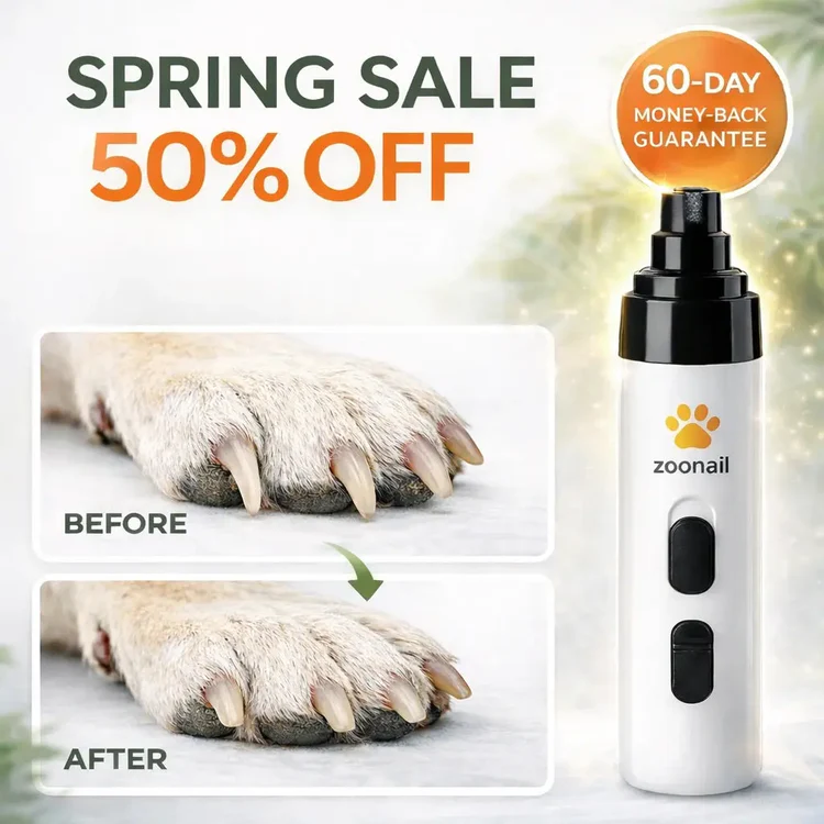 Grooming Perfection, Stress-Free